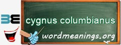 WordMeaning blackboard for cygnus columbianus